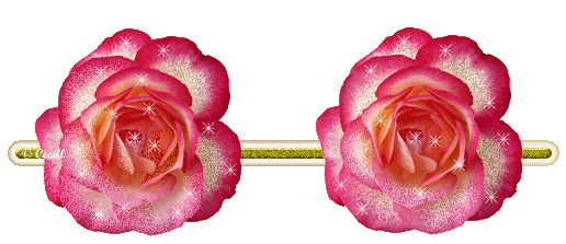 barras+de+rosas+hermosas.gif