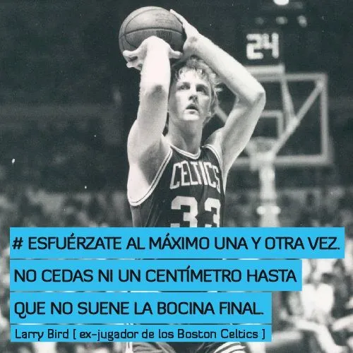 Basket on Pinterest | NBA, Real Madrid and Amigos Basket on Pinterest | NBA, Real Madrid and Amigos