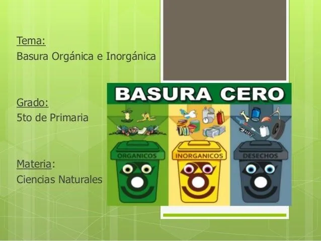 basura orgánica e inorgánica