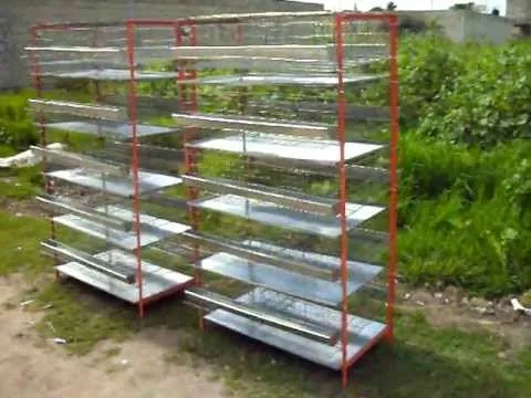 Bateria Quintuple de jaulas para codorniz - YouTube Bateria Quintuple de jaulas para codorniz - YouTube