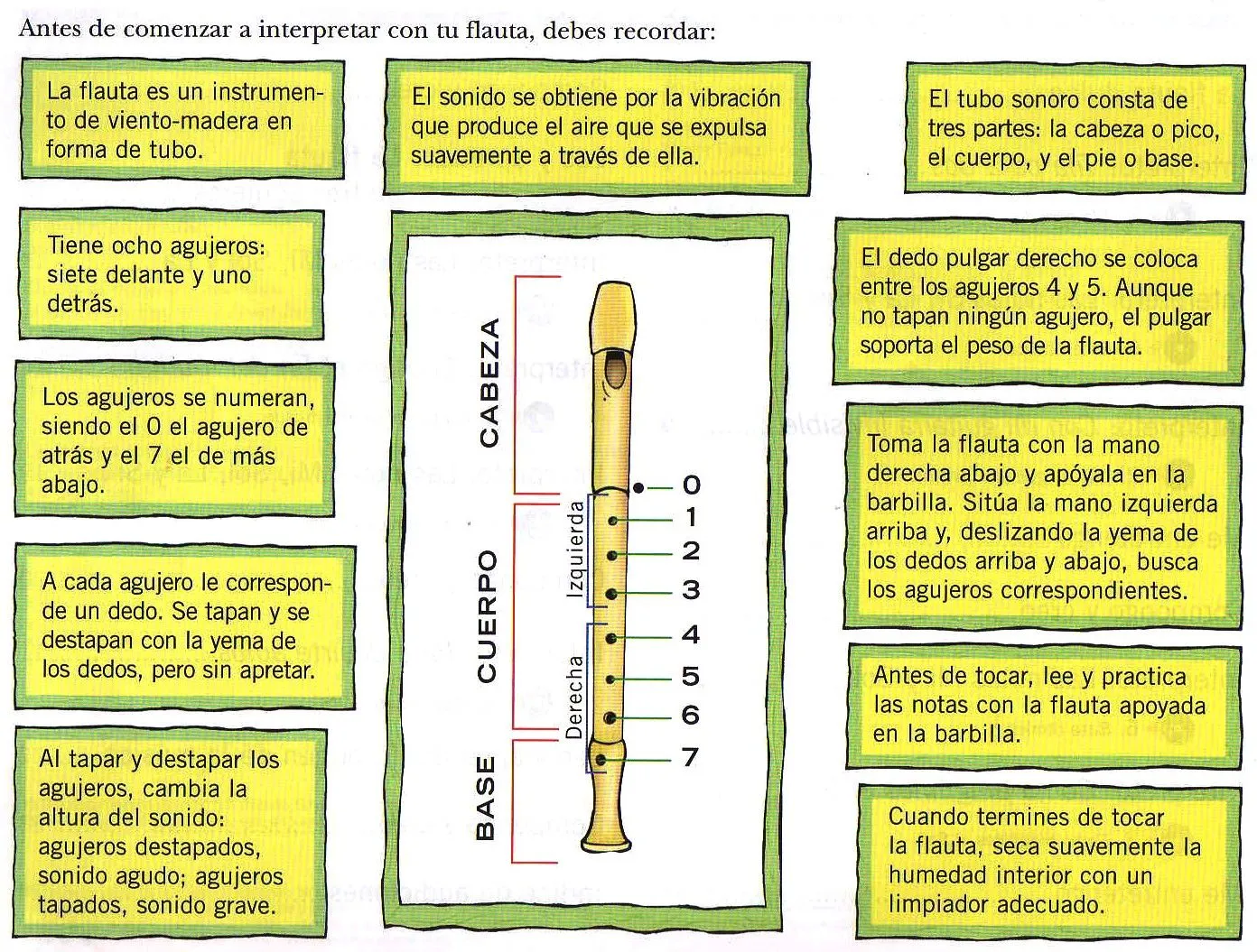 LA BATUTA MÁGICA: FLAUTA