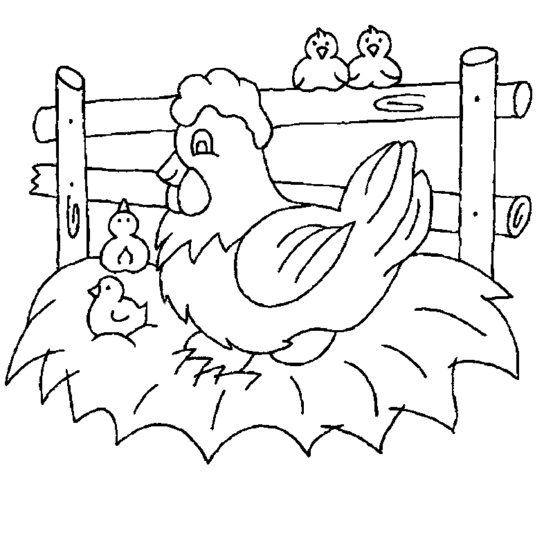BAÚL DE COLOREAR: Colorear dibujos Gallinas con pollitos BAÚL DE COLOREAR: Colorear dibujos Gallinas con pollitos