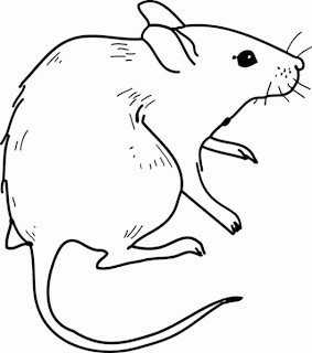 BAÚL DE COLOREAR: Colorear dibujos Ratoncitos BAÚL DE COLOREAR: Colorear dibujos Ratoncitos