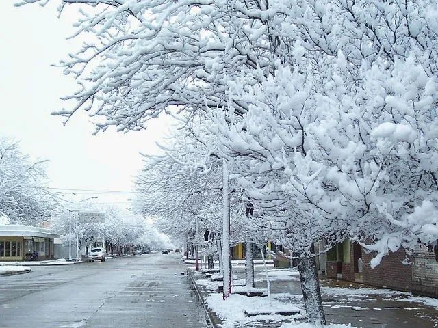EL BAÚL DE INNELA: Algunos paisajes de invierno con árboles nevados EL BAÚL DE INNELA: Algunos paisajes de invierno con árboles nevados