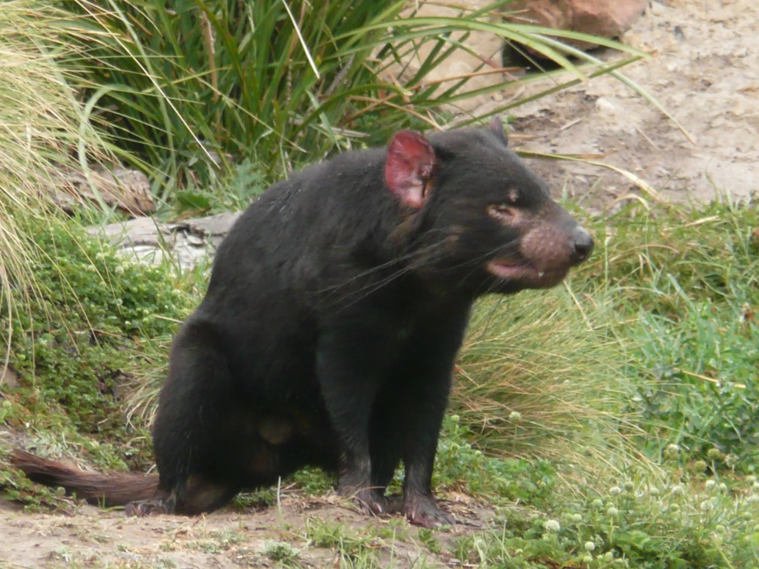 Bay of Fires, una de las 10 playas mas espectaculares del mundo