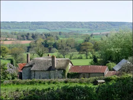 BBC - Devon - In Pictures - Honiton Galleries BBC - Devon - In Pictures - Honiton Galleries