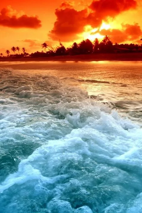 Beach HD Wallpaper - Aplicaciones Android en Google Play