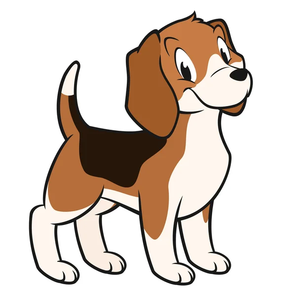 Beagle de dibujos animados — Vector stock © mumut #61380701