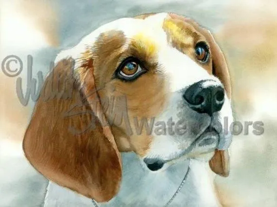 BEAGLE perro mascota retrato acuarela Art Print por k9stein en Etsy