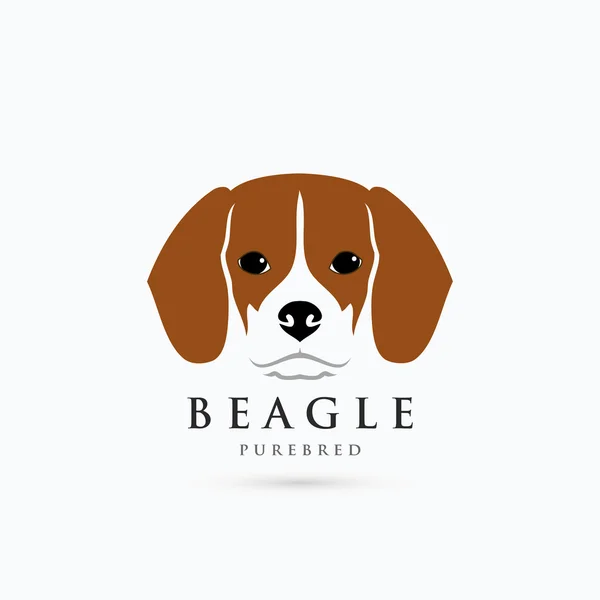 Beagle Vectores de stock libres de derechos | Depositphotos®