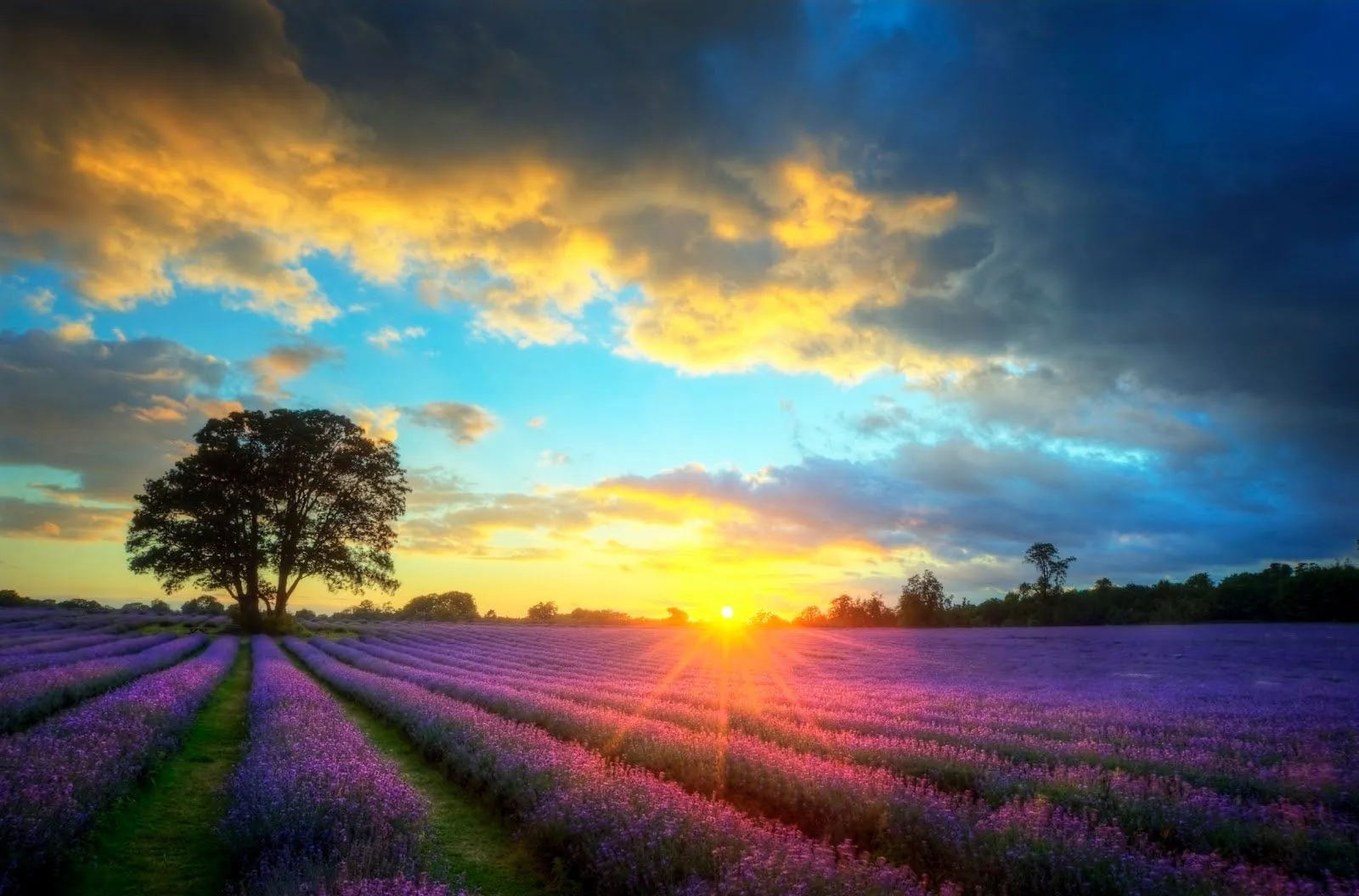 Beautiful+image+of+stunning+ ...