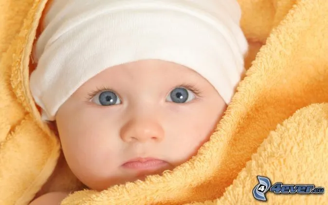 Bebé