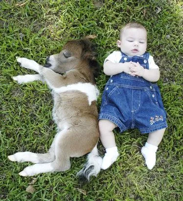 Bebe y burrito - Fotos de niños - Humor12.