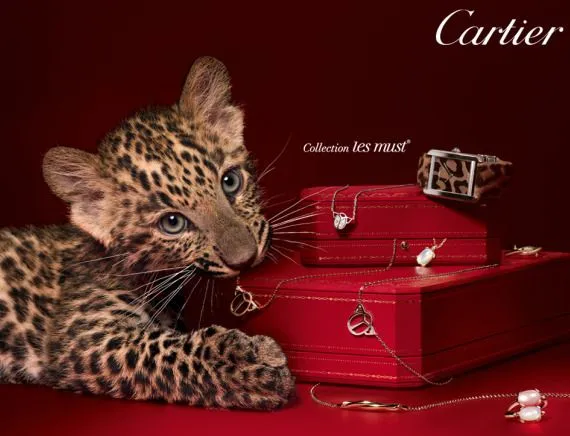 El bebé pantera más famoso del mundo. | FIEBREDEBOLSOSYJOYAS.COM El bebé pantera más famoso del mundo. | FIEBREDEBOLSOSYJOYAS.COM