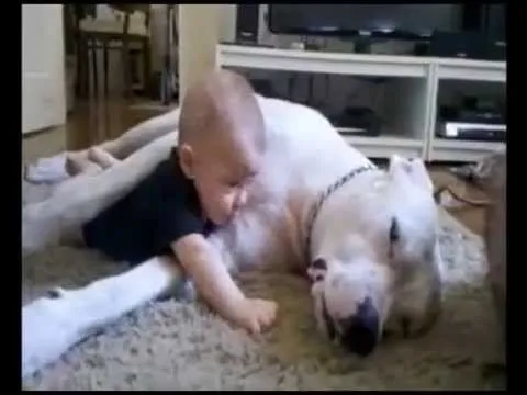 Bebe y perro! TIERNO! - YouTube