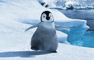 bebe pingüino emperador | Flickr - Photo Sharing!