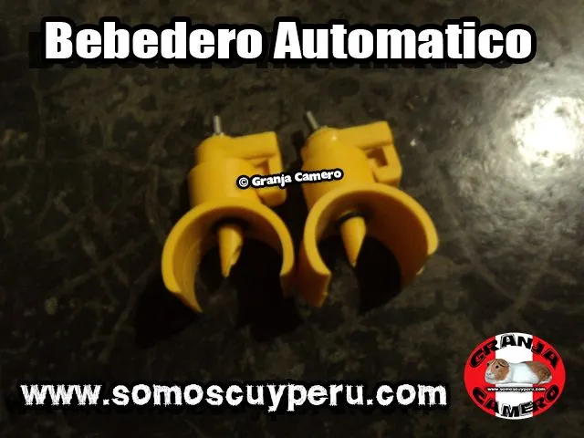 BEBEDEROS AUTOMATICOS PARA CUYES ~ SOMOS CUY PERU BEBEDEROS AUTOMATICOS PARA CUYES ~ SOMOS CUY PERU