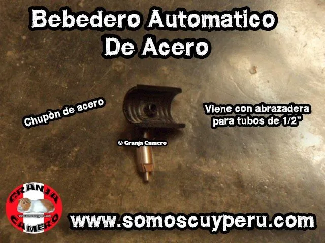 BEBEDEROS AUTOMATICOS PARA CUYES ~ SOMOS CUY PERU BEBEDEROS AUTOMATICOS PARA CUYES ~ SOMOS CUY PERU