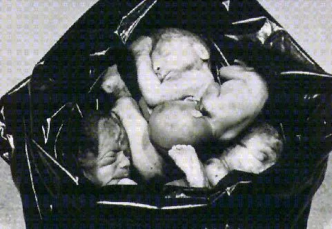 bebes-abortados.jpg