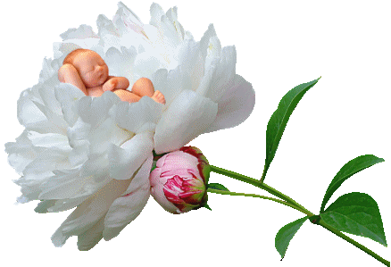 Bebes de arcilla