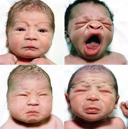 bebés « a desgana