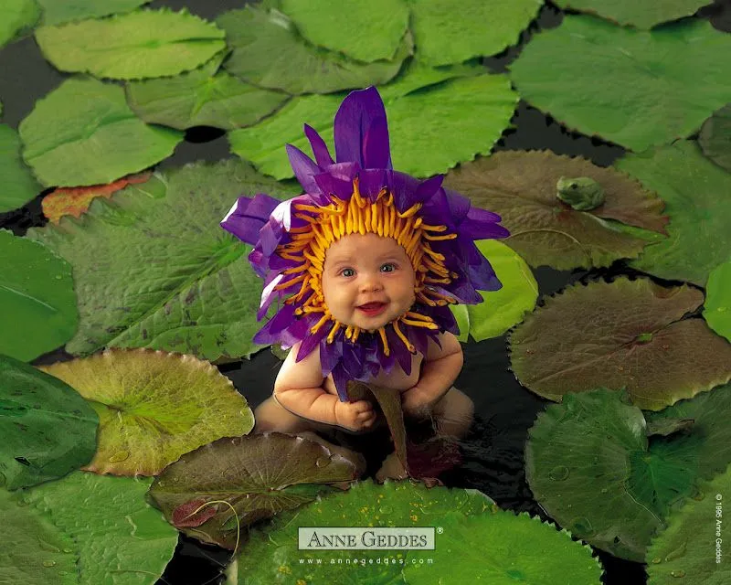 Bebés con o Dentro de Flores, Imágenes de Anne Geddes. | Oh My Bebé!