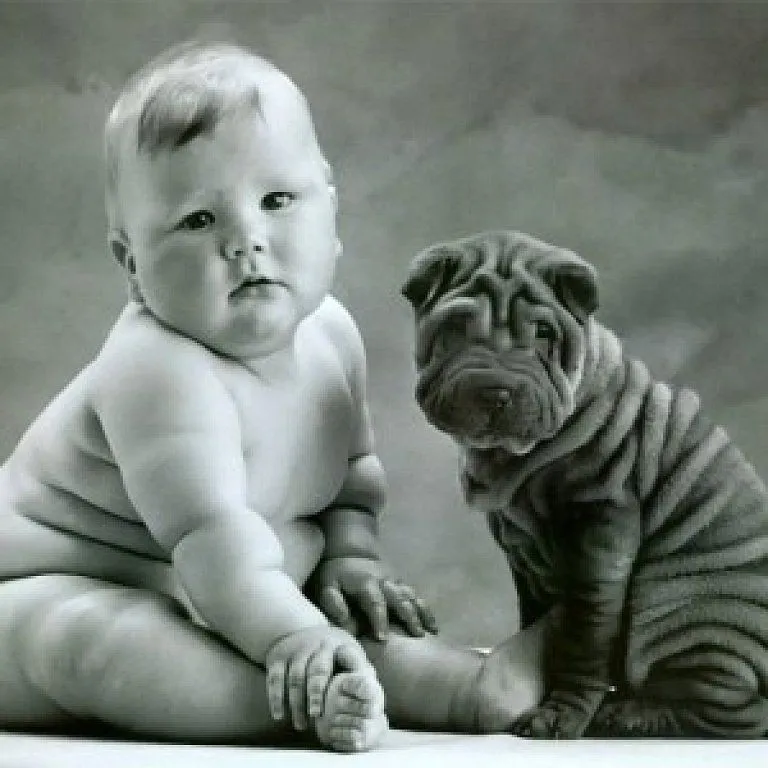 bebes jugando con perros | Cuidar de tu perro es facilisimo. bebes jugando con perros | Cuidar de tu perro es facilisimo.