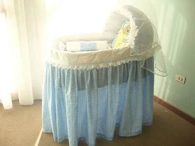 Nuestros bebes: Moises para tu bebe
