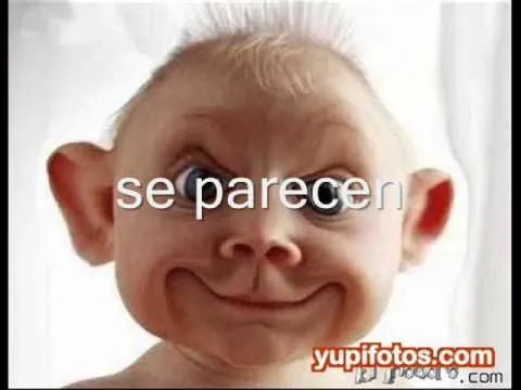 BEBES OREJONES ...