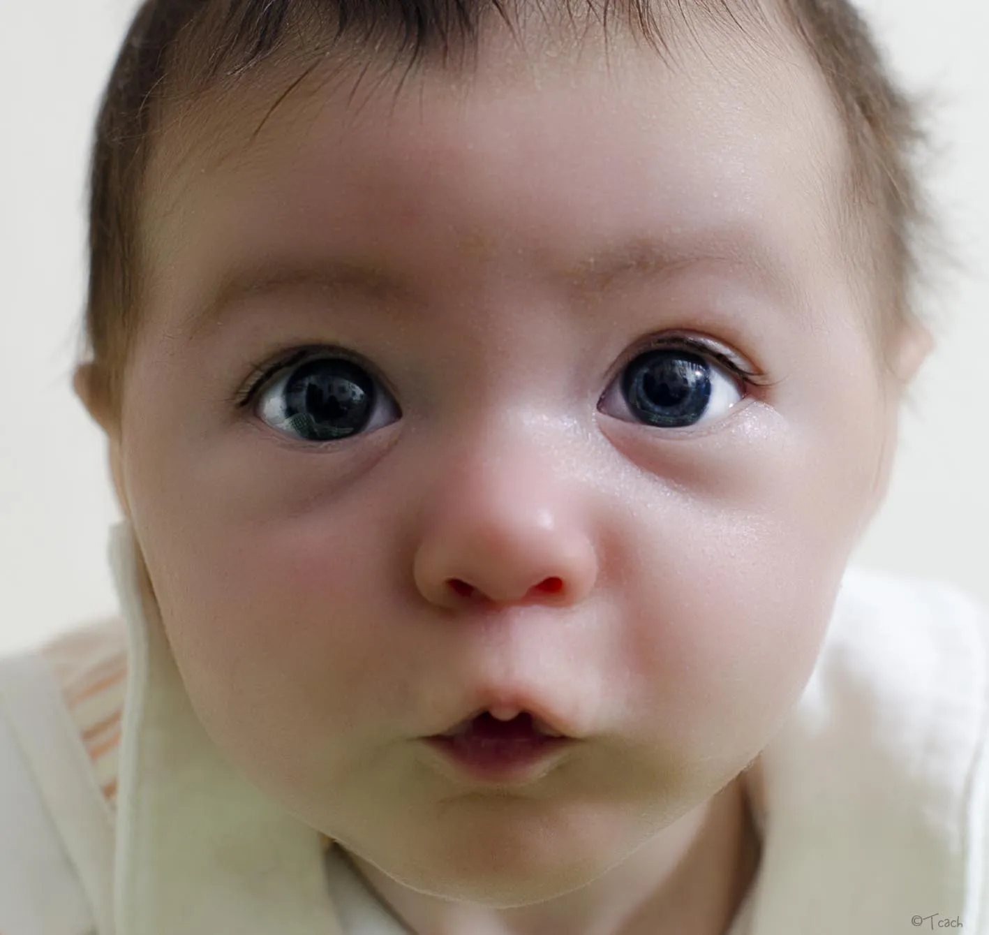 Bebés recien nacidos de ojos azules - Imagui Bebés recien nacidos de ojos azules - Imagui