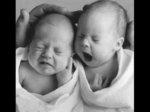 10 minutos de videos con gatos lindos tiernos y graciosos