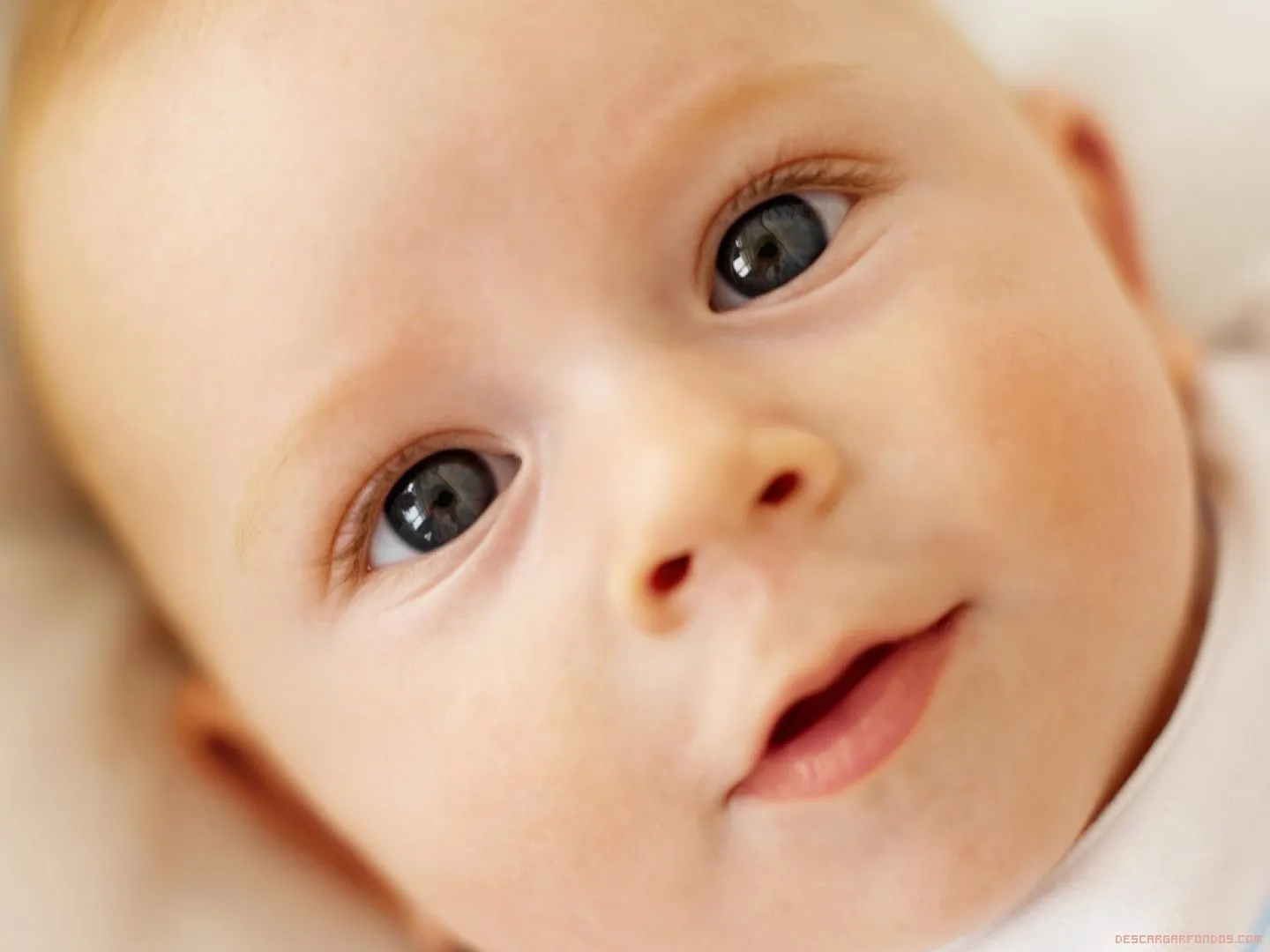 Fondos De Bebes Tiernos