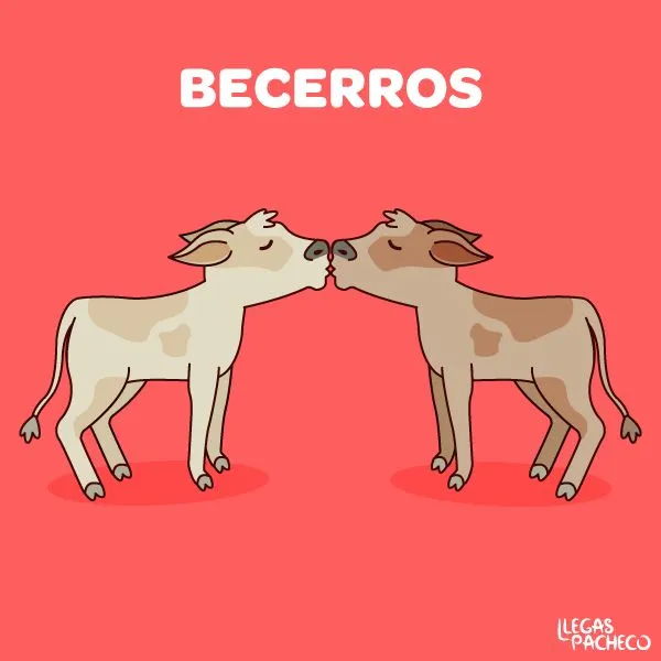 Unos becerros #besos #dibujo #mexico | Notas | Pinterest | Dibujo ... Unos becerros #besos #dibujo #mexico | Notas | Pinterest | Dibujo ...