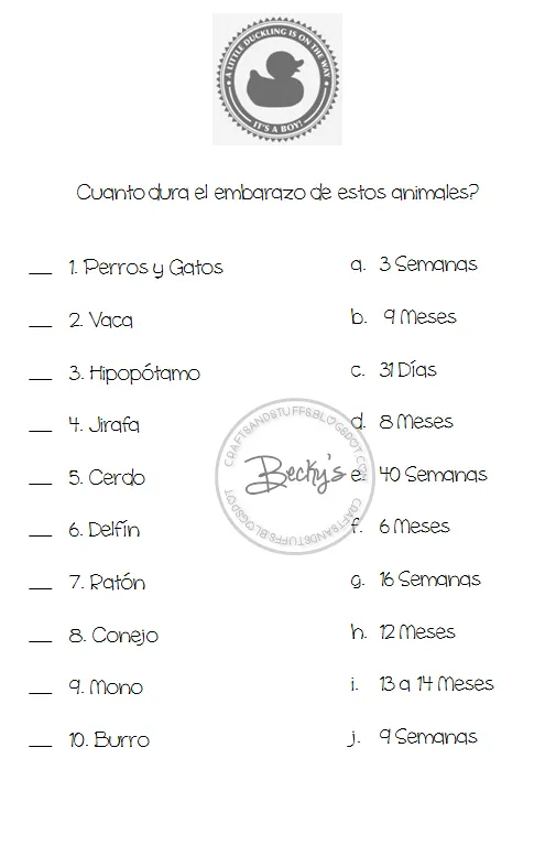Beck's Crafts&Stuffs: Los Mejores Juegos Para Baby Shower Beck's Crafts&Stuffs: Los Mejores Juegos Para Baby Shower