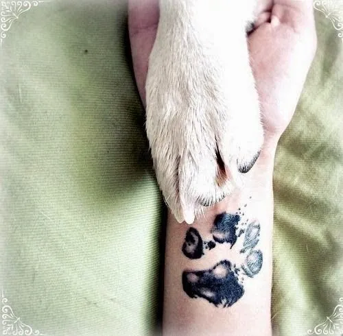 Belagoria: Tatuajes de patitas de perro
