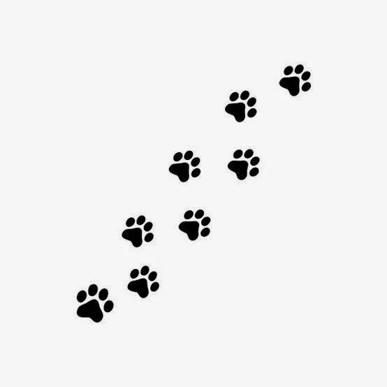 Belagoria: Tatuajes de patitas de perro