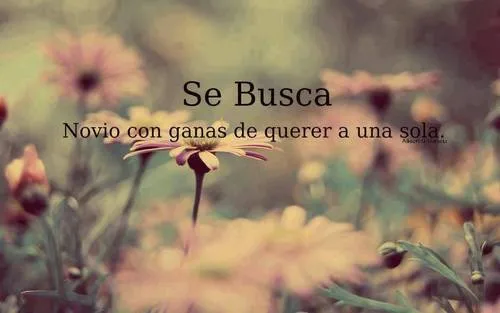 I believe in my dreams • Se busca novio con ganas de querer a una ... I believe in my dreams • Se busca novio con ganas de querer a una ...
