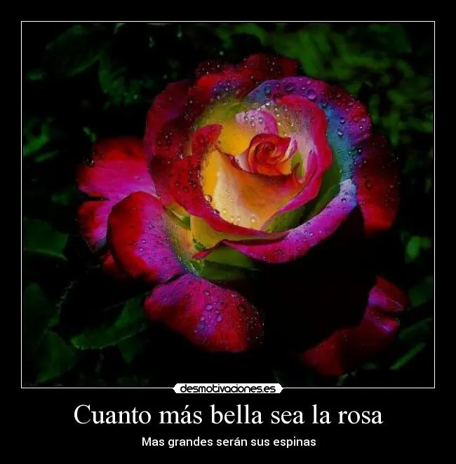 Cuanto más bella sea la rosa | Desmotivaciones Cuanto más bella sea la rosa | Desmotivaciones