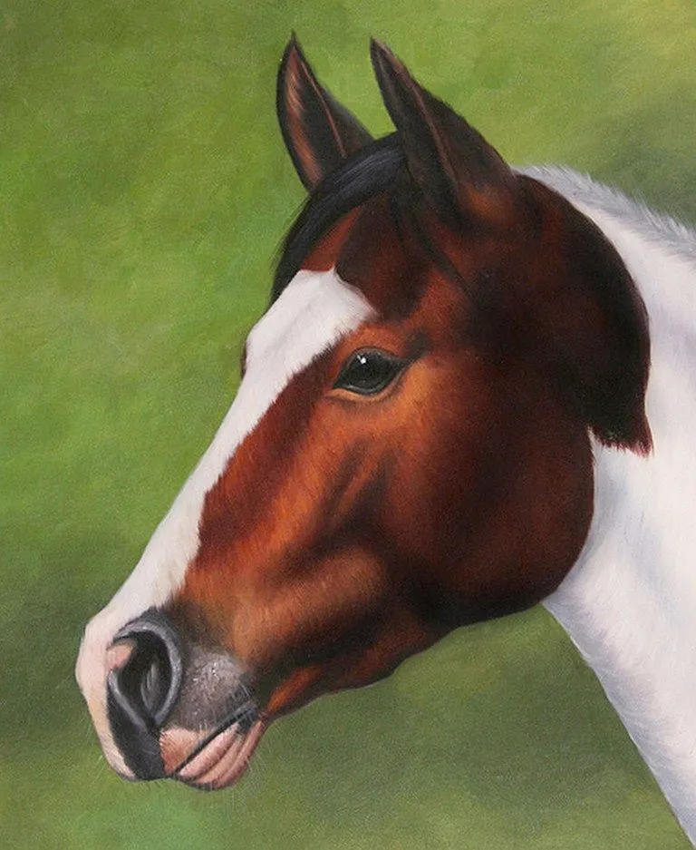 Bellas cabezas de caballos en óleo | El club del arte, pinturas