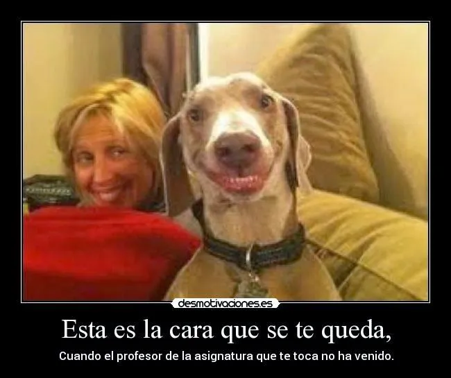 Bellas imágenes chistosas de viernes - Imagenes tiernas con frases ... Bellas imágenes chistosas de viernes - Imagenes tiernas con frases ...