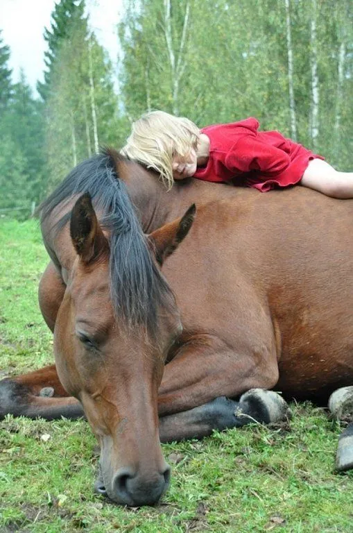 Otras bellas y tiernas imágenes | Cuidar de tu mascota es ...