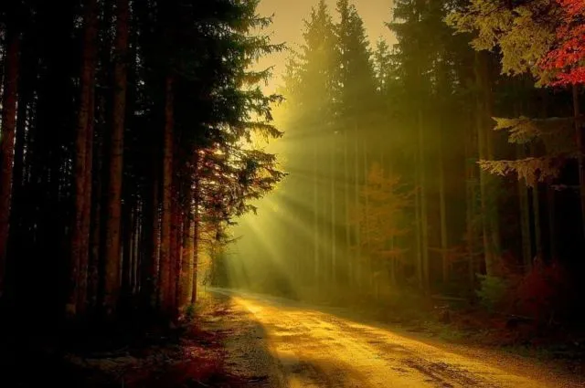  ... Belleza de la Naturaleza - Hermosos Paisajes de Nuestro Mundo Parte 2