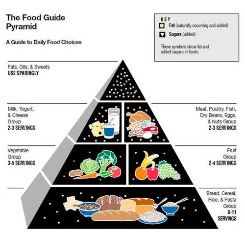 Bellezapura – La pirámide de la alimentación, a examen - Bellezapura -