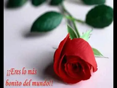 eres lo mas bello del amor - YouTube