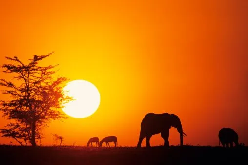 Un Bello Atardecer en Africa- Paisajes | daniayling fotografia