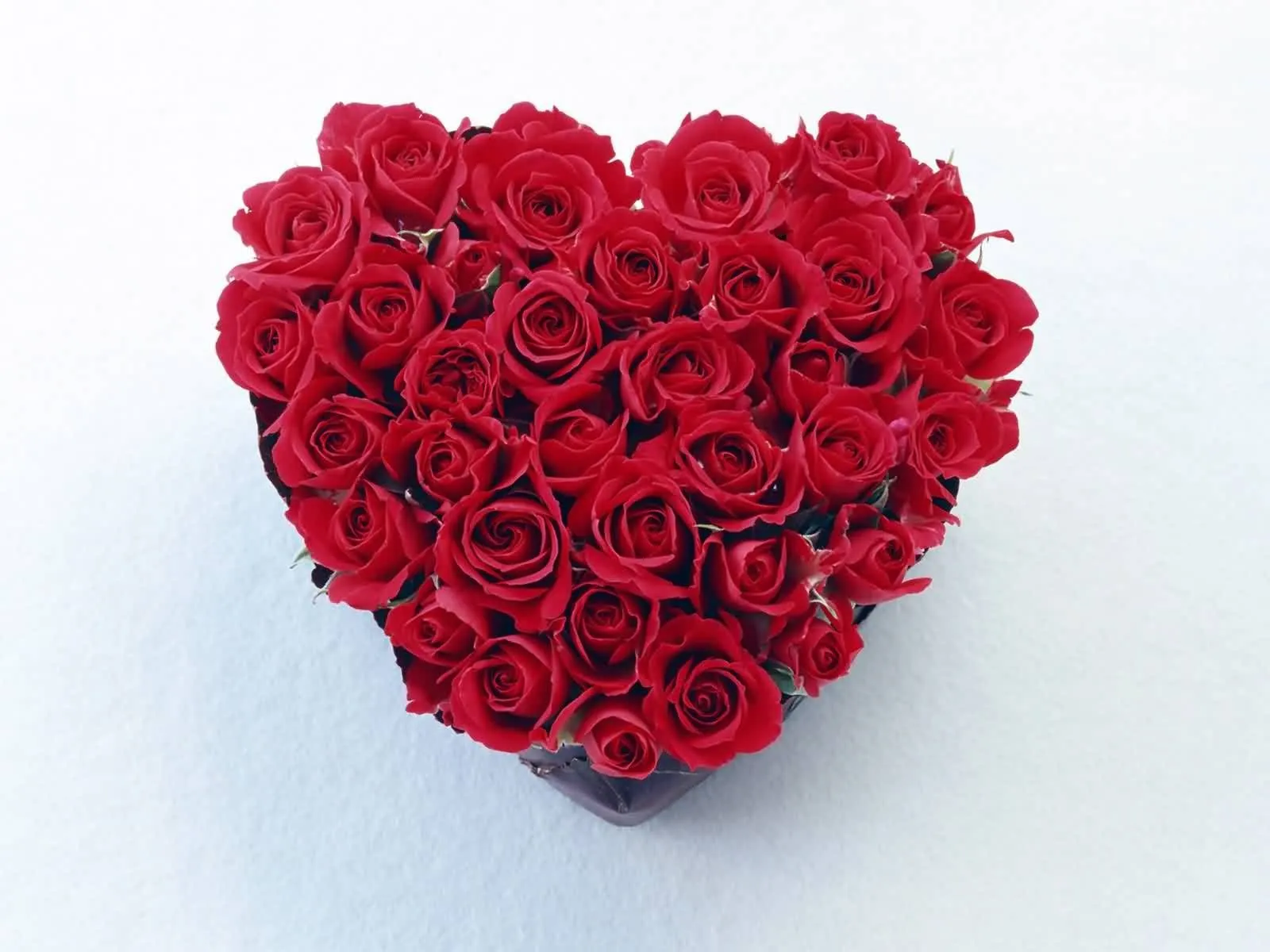 Bellos Corazones Wallpapers - Fondos de Pantalla de Corazones ... Bellos Corazones Wallpapers - Fondos de Pantalla de Corazones ...