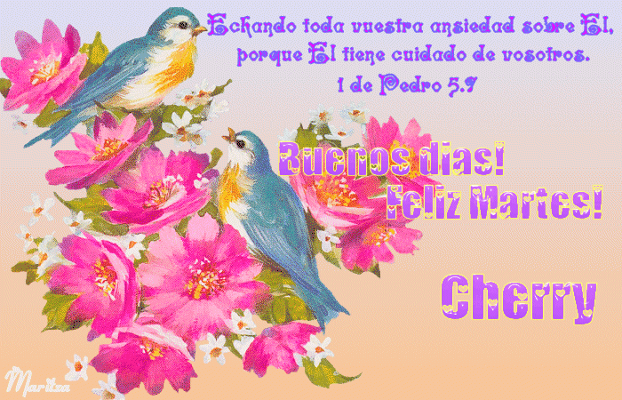 Bendecido martes con flores coloridas - Imágenes de facebook ... Bendecido martes con flores coloridas - Imágenes de facebook ...