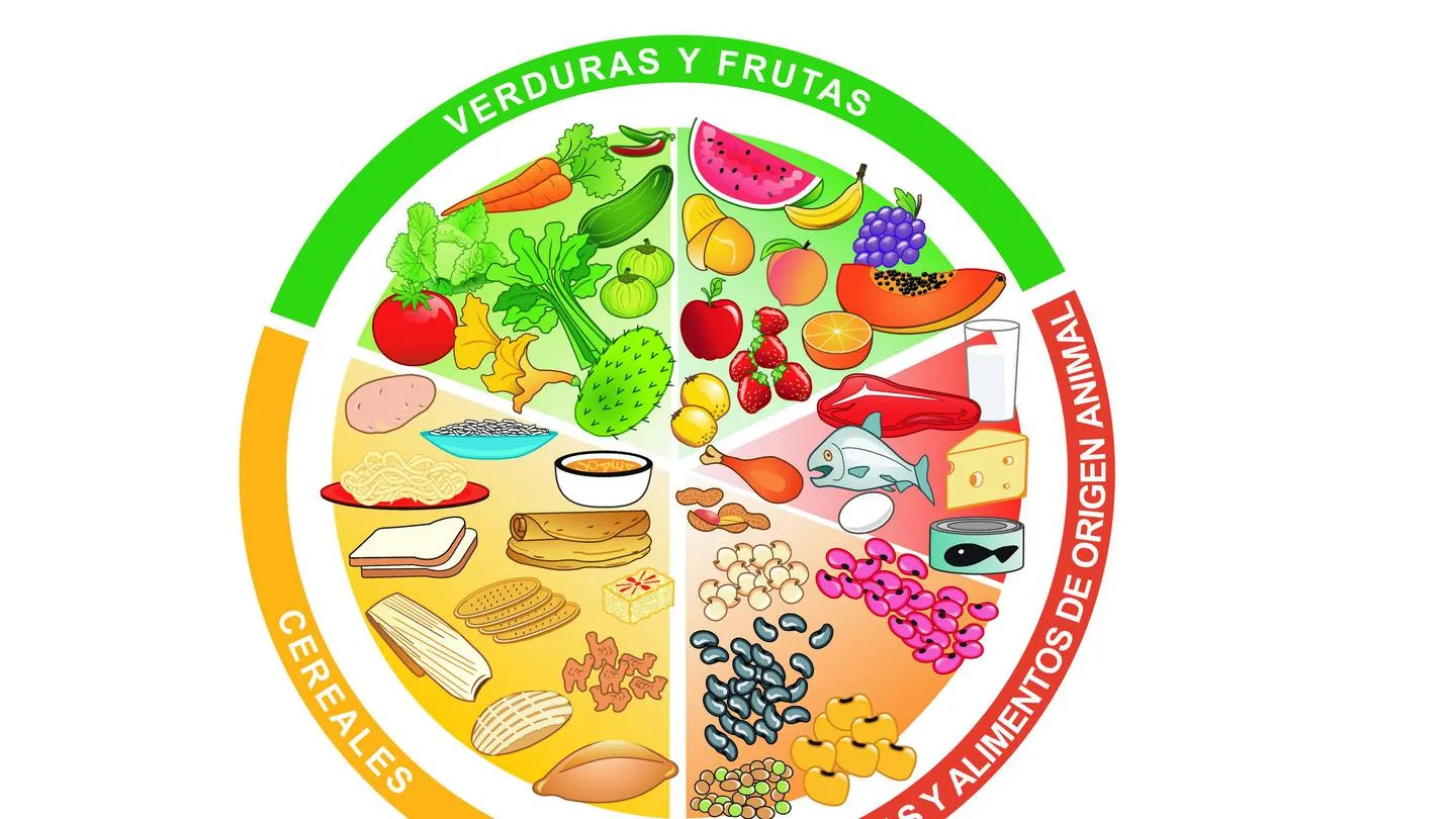 Cuáles son los beneficios del Plato del Bien Comer? Cuáles son los beneficios del Plato del Bien Comer?