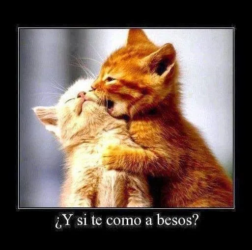 Imagenes de Amor gratis: Imagenes de amor de parejas animadas gratis