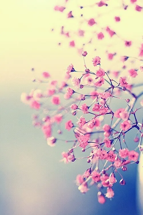 Best tumblr iphone wallpapers hd 2015 | Tumblr Life Best tumblr iphone wallpapers hd 2015 | Tumblr Life
